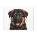 German Shepherd Puppy Matte Canvas
