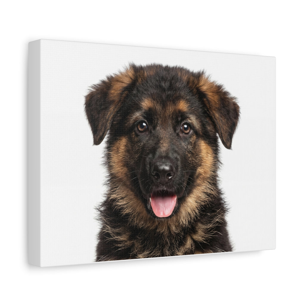 German Shepherd Puppy Matte Canvas