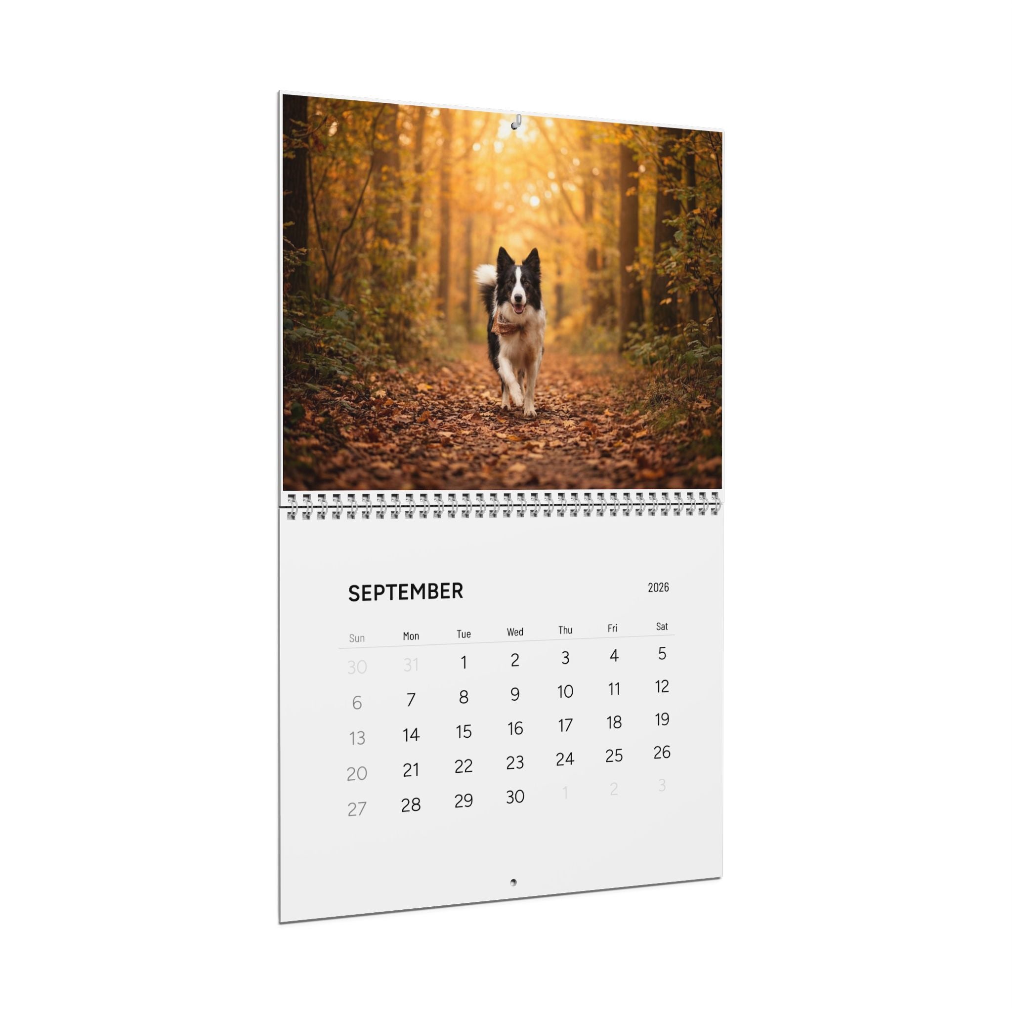 Wall Calendars (2026)